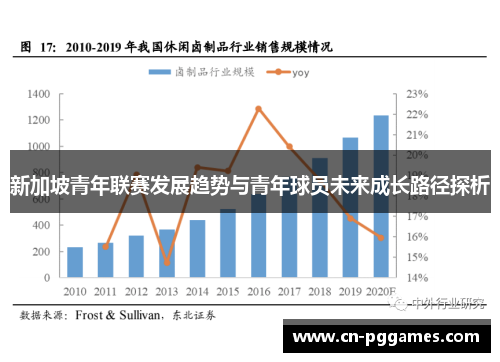 新加坡青年联赛发展趋势与青年球员未来成长路径探析