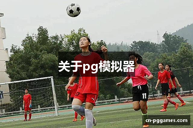 关于pg模拟器